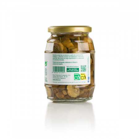Lamelles de Champignon 2